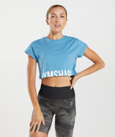 Women's Gymshark Fraction Cropped Tops Blue | NZ 3FQXDA